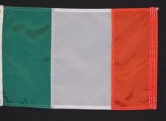 Ireland Sleeve Flag (2.5ft x 4ft)